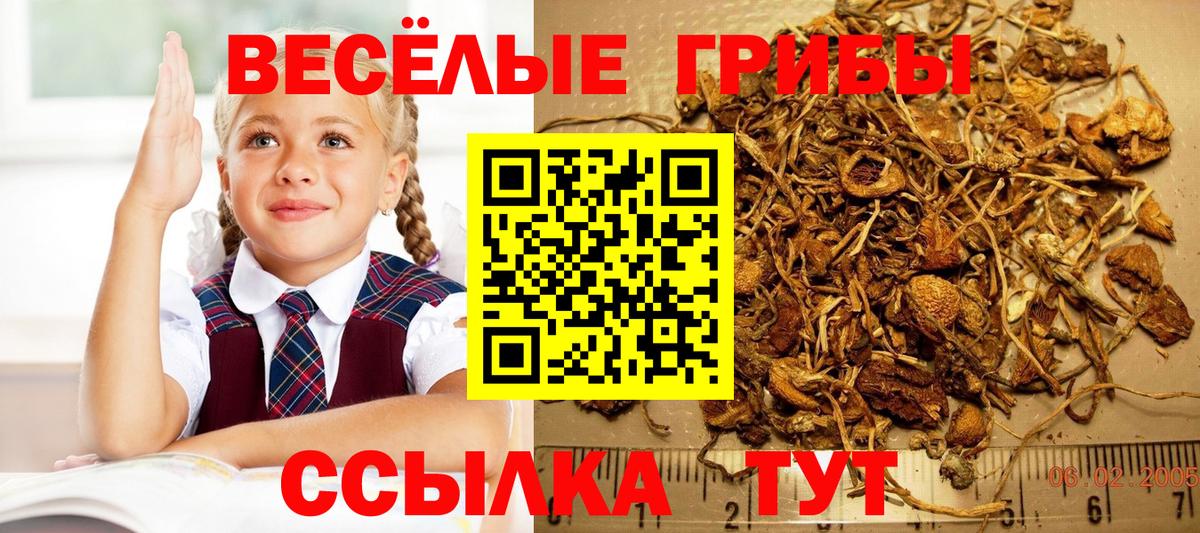 Экстази Коряжма