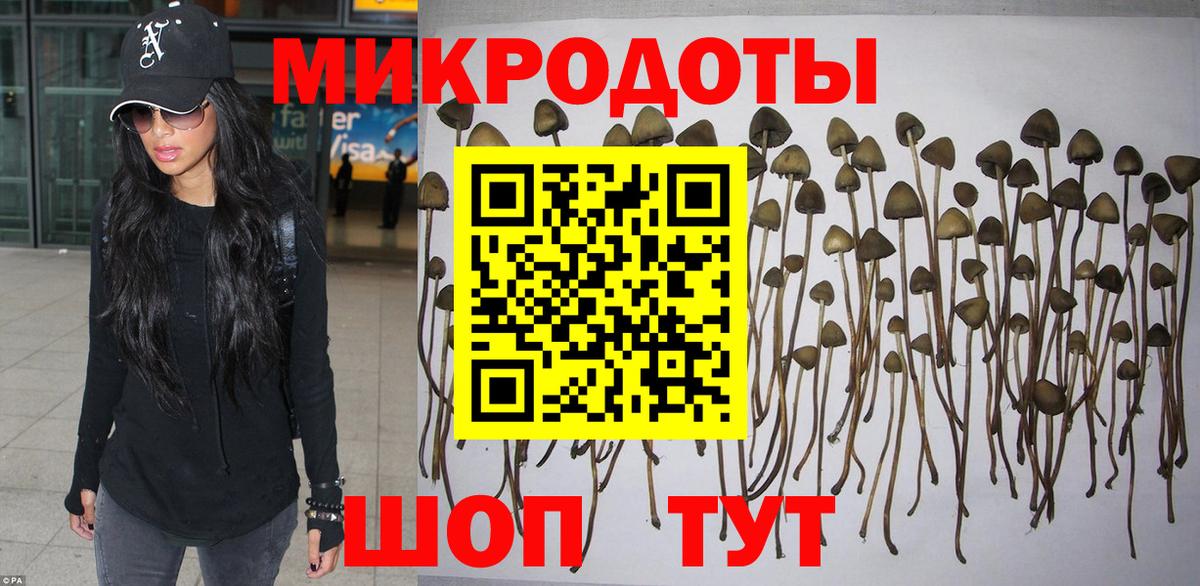 Коряжма  Галлюциногенные грибы ЛСД  Вход с VPN 